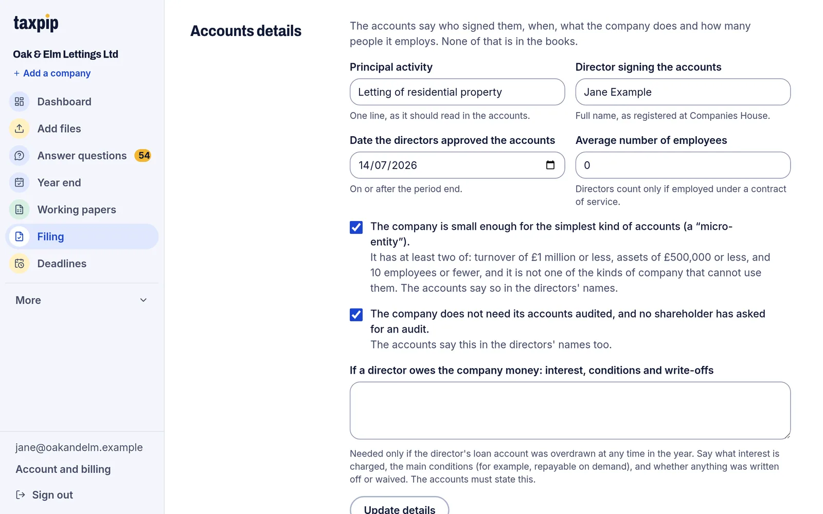 The Accounts details form on the Filing page, with the principal activity, the director signing, the date the accounts were approved and the average number of employees.